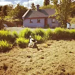 Сasa de vacaciones Mountain With Barn Sauna, Clonbur, Galway Clonbur
