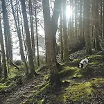 Сasa de vacaciones Mountain With Barn Sauna, Clonbur, Galway *
