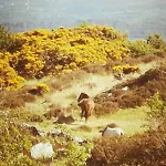 Mountain With Barn Sauna, Clonbur, Galway Сasa de vacaciones Clonbur