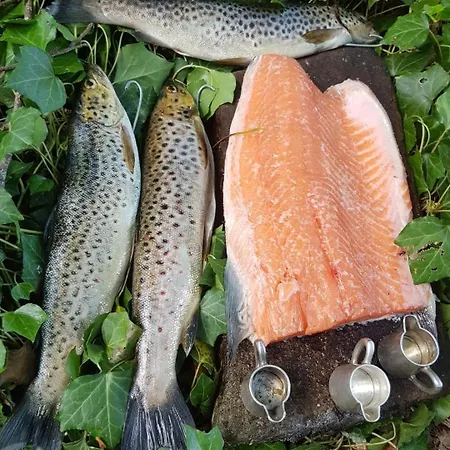 Дом отдыха Mountain With Barn Sauna, Clonbur, Galway Clonbur
