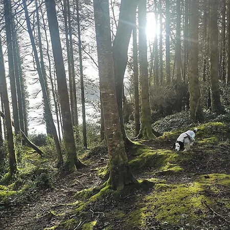 度假居 Mountain With Barn Sauna, Clonbur, Galway *