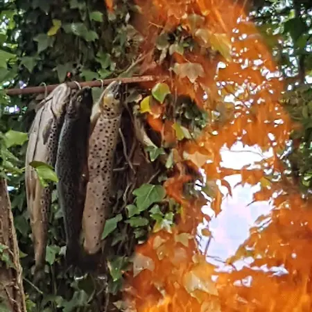 Mountain With Barn Sauna, Clonbur, Galway Casa de Férias Clonbur