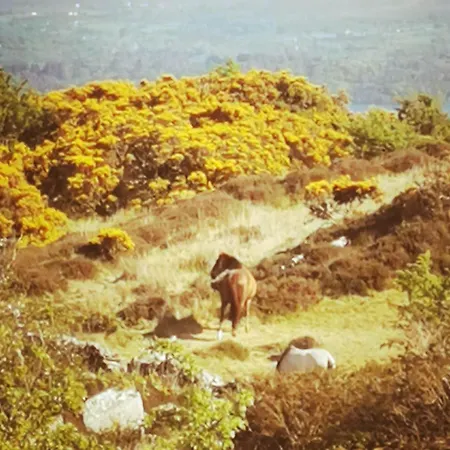 Mountain With Barn Sauna, Clonbur, Galway Casa de Férias Clonbur
