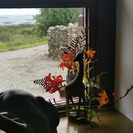 Casa vacanze Mountain With Barn Sauna, Clonbur, Galway *