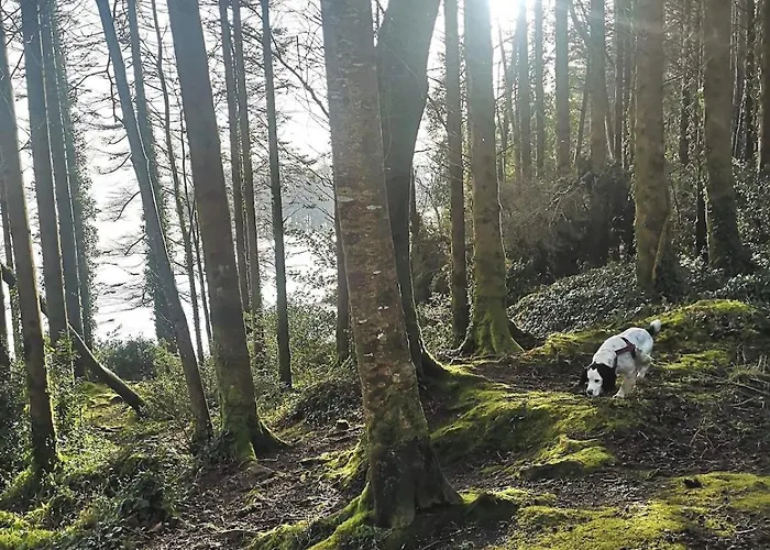 Ferienhaus Mountain With Barn Sauna, Clonbur, Galway *