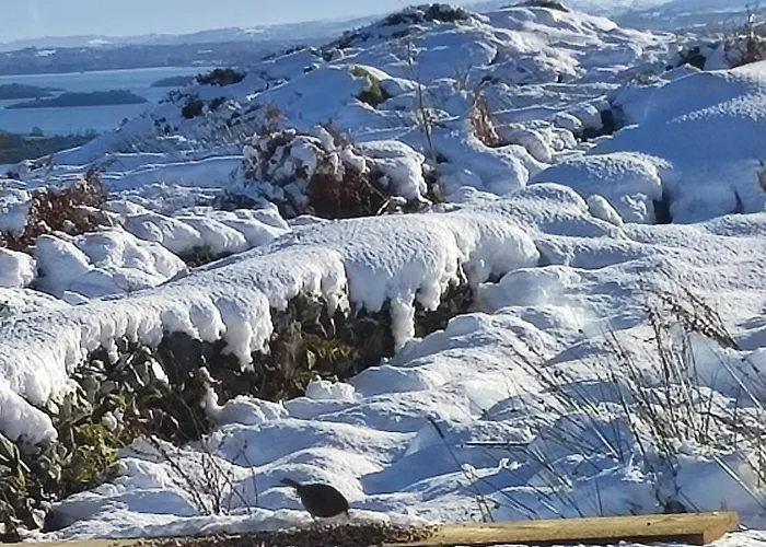 Ferienhaus Mountain With Barn Sauna, Clonbur, Galway *