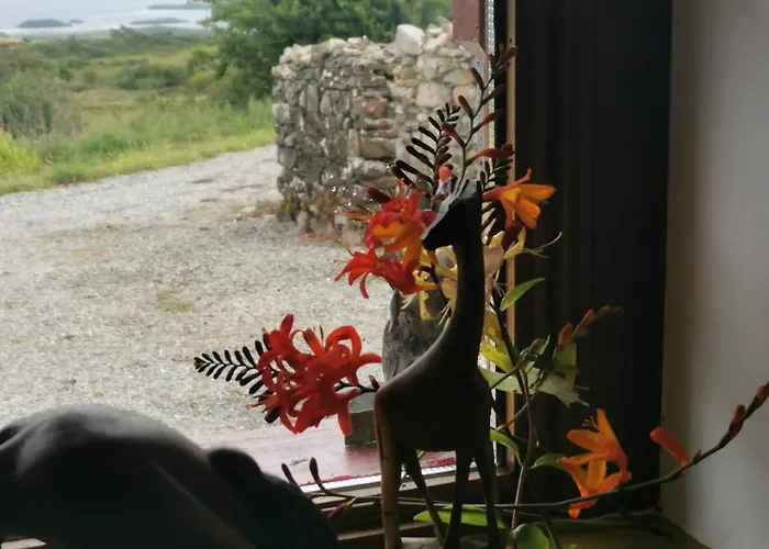 Ferienhaus Mountain With Barn Sauna, Clonbur, Galway *